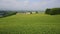 Aerial motion view a large corn field