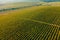 Aerial nature landscape beautiful hills forests fields and vineyards