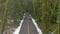 AERIAL: Old SUV drives under the majestic pine trees of Olympic National park.