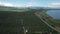 aerial olive fields