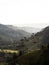 Aerial outdoor nature landscape panorama of tall wax palm trees in Valle del Cocora Valley in Salento Quindio Colombia
