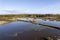 Aerial Over Birdlife On Wetlands