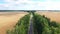 Aerial Over Empty Suburban Road Passing Through Golden Rural Wheat Fields