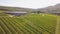 Aerial over grape vines and lush valley