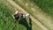 Aerial overhead shot of mom and her little child play together and spin around holding hands
