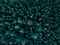 Aerial Overhead View of Tree tops in super rich dark green color shot in Germany