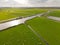 Aerial overview of a landscape with sheep nature grassland drone shot