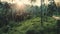 Aerial palm trees and green grass in jungle backlit. An extreme wildlife summer tour Asia rainforest