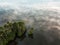 aerial of palm trees and a lake