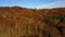Aerial Pan of amber and gold forest foliage along the edge of New England Lake