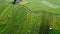 Aerial panorama of agrarian rice fields landscape