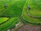 aerial panorama of agrarian rice fields landscape like a terraced rice fields ubud Bali Indonesia