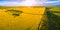 Aerial panorama of beautiful canola fields at sunset.