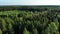 Aerial panorama on green forest and swamp, northern nature.
