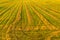 Aerial Panorama of haystack harvest agriculture field landscape. Agriculture field haystack. Landscape with drone