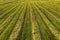 Aerial Panorama of haystack harvest agriculture field landscape. Agriculture field haystack. Landscape with drone.