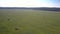 Aerial panorama huge field with scattered haystacks