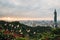 Aerial panorama over Downtown Taipei with Taipei 101 Skyscraper with trees on the mountain and grass flowers in foreground.