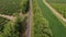 Aerial panorama of the road, that leads between green patterns of fields and gardens