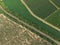 Aerial panorama of the road, that leads between green patterns of fields and gardens