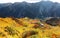 Aerial panorama of a scenic cable car flying over the beautiful autumn valley in Tateyama Kurobe Alpine Route