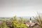 Aerial Panorama of Titel, with the serbian orthodox church of the dormition in background. Titel is a serbian village of the Juzna