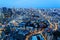 Aerial panorama of Tokyo Downtown at blue dusk, with view of illuminated Tokyo Tower among crowded buildings