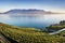 Aerial panoramic view of the city of Vevey at Lake Geneva with vineyards of famous Lavaux wine region on a beautiful sunny day.
