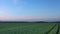 Aerial panoramic view, green wheat field in morning, drone flying over farmland
