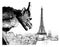 Aerial panoramic view of Paris with gargoyle