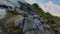 Aerial panoramic view of rocky mountain covered green plants in ocean in summer.