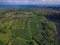 Aerial of a Papaya plantation in big island, hawaii