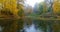 Aerial park forest autumn falling leaves ducks lake pond water