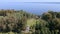 Aerial park Mezhigorye. Summer time of the year. Gazebo trees sea promenade.