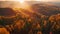 an aerial perspective of a forest during a sunset, showcasing the natural beauty and scenery, Aerial view of the dark deforested