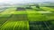 Aerial perspective of rural landscape with lush fields and agricultural farmland in natural setting