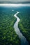 Aerial perspective of a snaking river cutting through the expansive greenery of a tropical rainforest under overcast skies