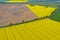 Aerial perspective view on rural landscape with yellow field of blooming rapeseed, diagonal line tractor tracks, plowed soil,