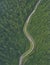 Aerial perspective of a winding forest road. AI Generated