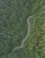 Aerial perspective of a winding forest road. AI Generated