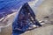 An aerial of the Pesuta shipwreck on Haida Gwaii, British Columbia, Canada