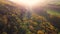 Aerial photo of Autumn Sunset in Glenarm Castle and Forest Ireland