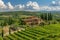 An aerial photo capturing a house enveloped by a dense cluster of trees, A Tuscan villa surrounded by vineyards, AI Generated