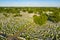 Aerial photo of a Cemetery field