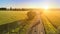 Aerial photo from drone. Automobile drives along the road at sunset.