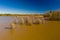 Aerial photo Eufaula Alabama Lakepoint State Park nature landscape scene