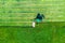 Aerial photo farm scene agricultural tractor mows grass with a mower in the farm fields, haymaking