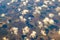 Aerial photo of Farmland. view from the plane to the ground. squares of fields under the clouds