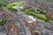 Aerial photo of the historical village town centre of Selby in York North Yorkshire in the UK showing the rows of newly built