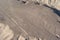 Aerial photo of the Hummingbird, Nazca Lines, Peru